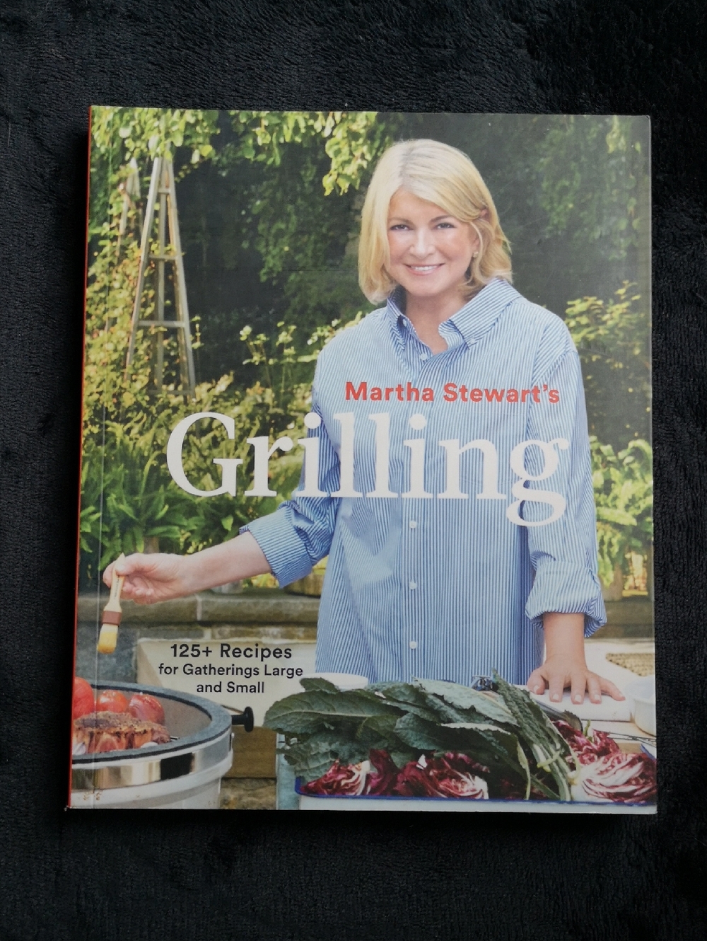 Brand New Martha Stewart's Grilling Cookbook 247 Pages Full Colour Softcover